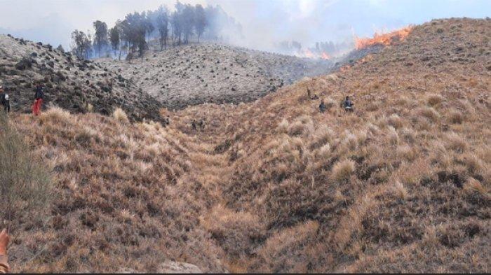 Diduga Prewedding Gunakan Flare, Kawasan Bukit Teletubbies Terbakar, Wisata Gunung Bromo Ditutup